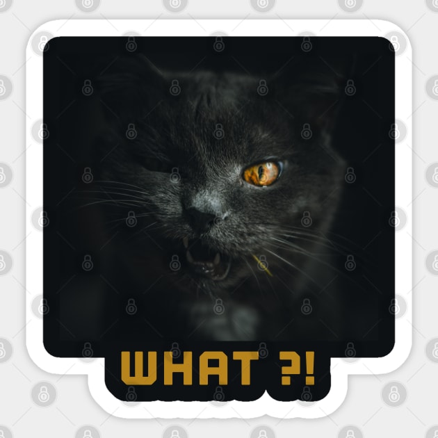 Black cat what ?! Sticker by osaya